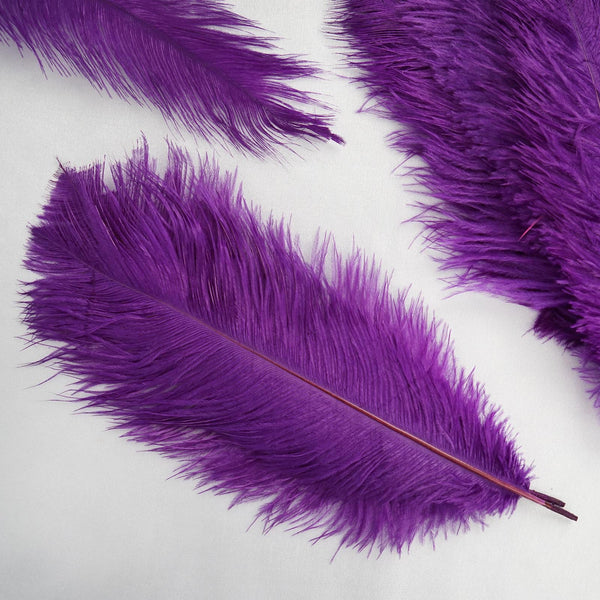 13-15 Fabulous Natural Ostrich Feathers-12PCS - Purple